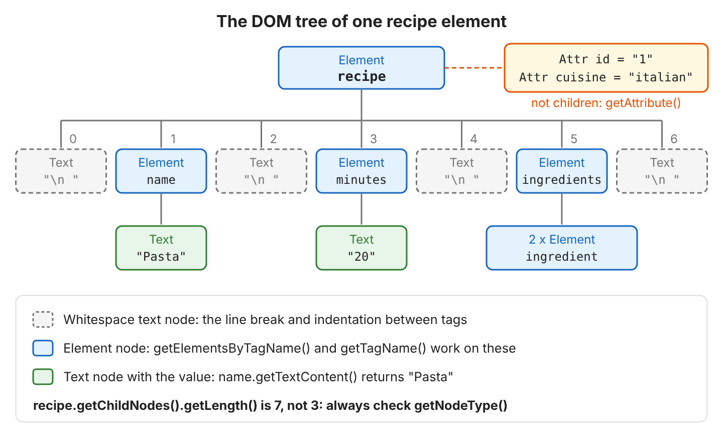 DOM tree of one recipe element. The recipe has seven child nodes in a row. Four dashed gray whitespace text nodes sit between the elements name, minutes and ingredients. The name element holds the text node Pasta, and minutes holds the text node 20. The ingredients element holds two ingredient elements. The attributes id and cuisine sit beside the recipe element, not among its children.