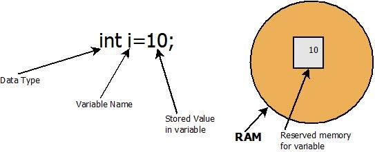 Java Variable Example