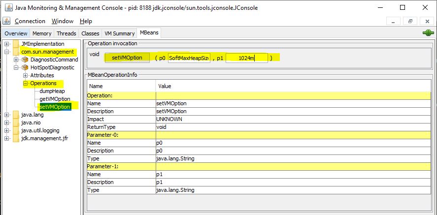 Set VM Options