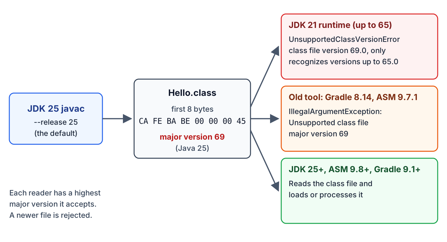 JDK 25 javac writes Hello.class with major version 69, which a JDK 21 runtime and an old tool reject and a JDK 25 runtime or ASM 9.8 reads
