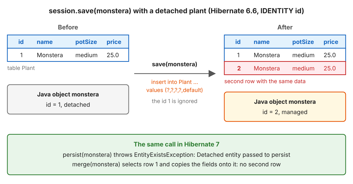 Before and after tables for session.save(monstera) on Hibernate 6.6: before, the Plant table has row 1 Monstera medium 25.0 and the Java object monstera has id 1 and is detached; save runs an insert with a default id and ignores id 1; after, the table has rows 1 and 2 with the same Monstera data and the object has id 2 and is managed; a note says that in Hibernate 7 persist(monstera) throws EntityExistsException and merge(monstera) copies the fields onto row 1