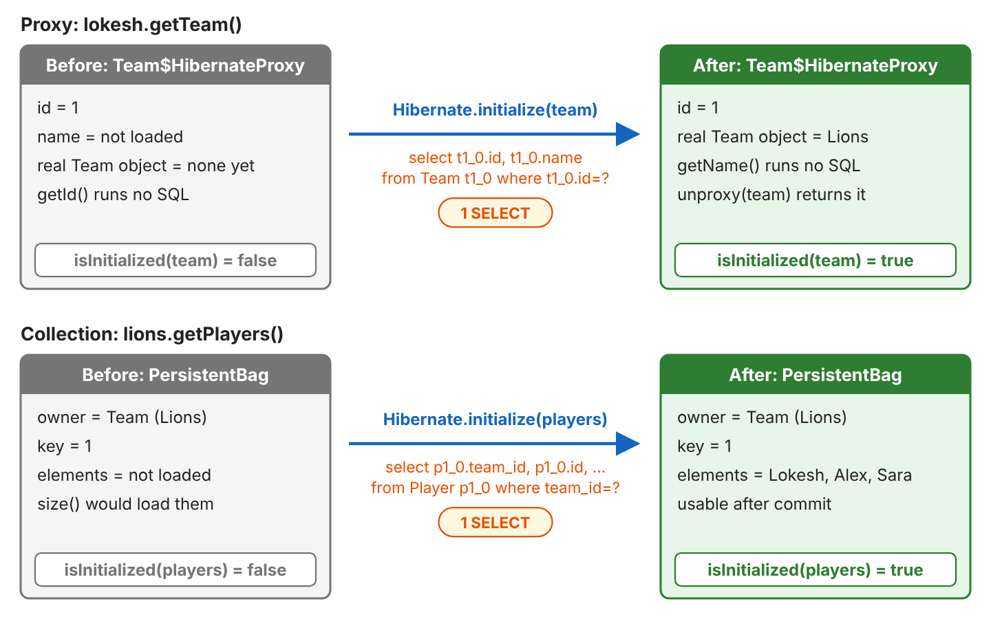 Two rows. Proxy row: before, Team$HibernateProxy holds id 1, the name is not loaded and there is no real Team object yet; Hibernate.initialize(team) runs select t1_0.id, t1_0.name from Team where id=?; after, the proxy holds the real Team object Lions and isInitialized is true. Collection row: before, the PersistentBag knows its owner Team Lions and key 1 but no elements; Hibernate.initialize(players) runs select from Player where team_id=?; after, it holds Lokesh, Alex and Sara