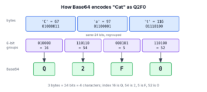 The word Cat as three bytes, 24 bits, four 6-bit groups and the Base64 characters Q2F0