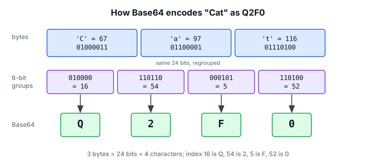 The word Cat as three bytes, 24 bits, four 6-bit groups and the Base64 characters Q2F0