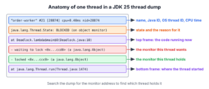 Annotated entry of a JDK 25 thread dump showing the thread name, thread ID, OS thread ID, CPU time, state, stack frames and lock lines
