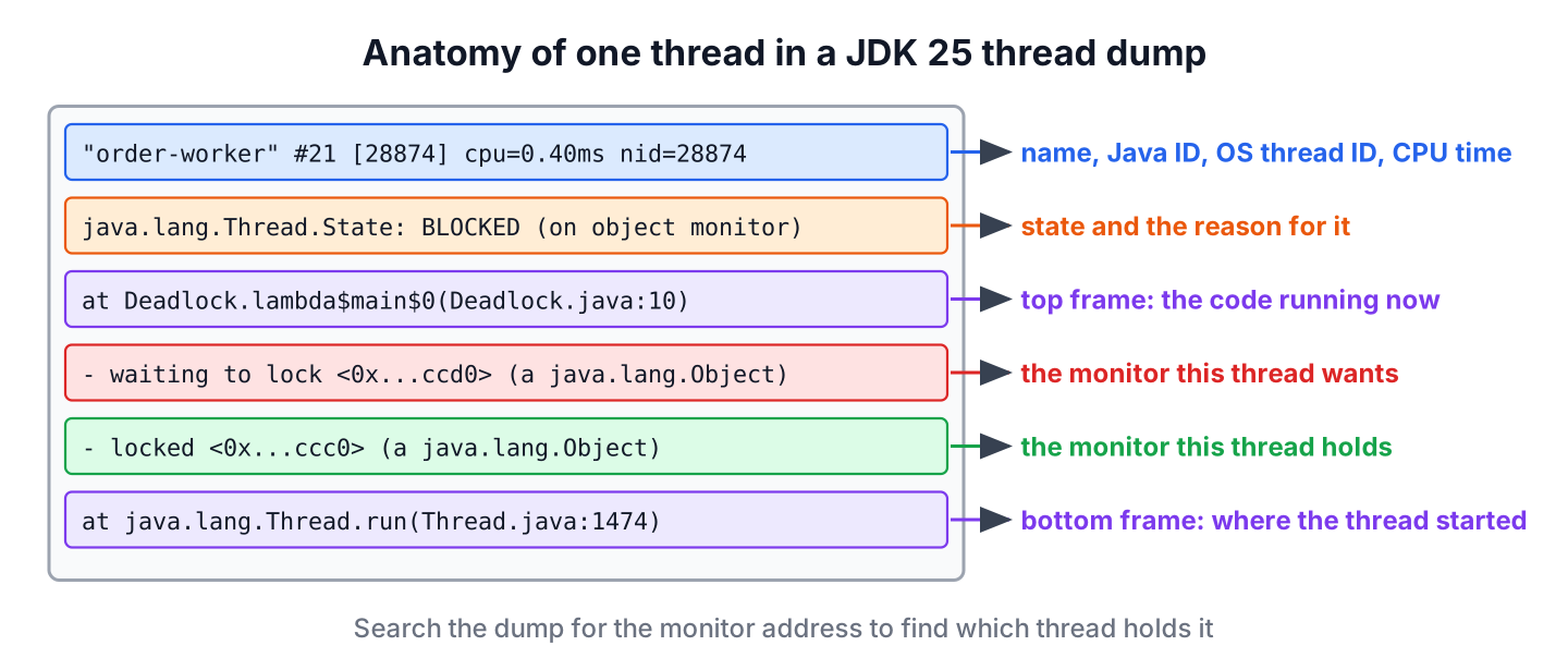Annotated entry of a JDK 25 thread dump showing the thread name, thread ID, OS thread ID, CPU time, state, stack frames and lock lines