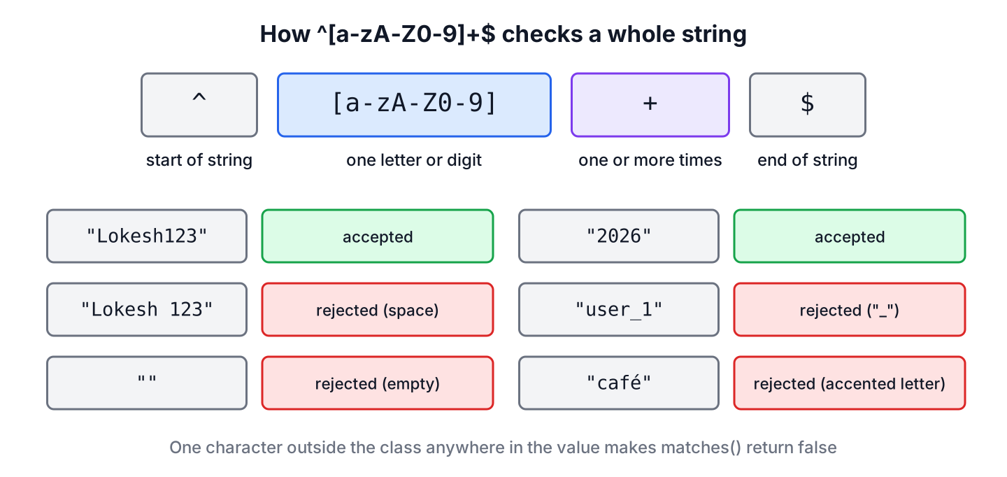 The regex ^[a-zA-Z0-9]+$ split into four parts with labels: ^ start of string, [a-zA-Z0-9] one letter or digit, + one or more times, $ end of string. Below, sample inputs: Lokesh123 and 2026 are accepted, Lokesh 123, user_1, an empty string and cafe with an accent are rejected.