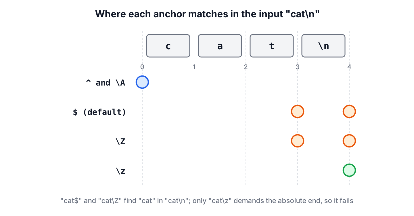 The input c, a, t, line feed with five positions. The caret and backslash-A match at position 0. The dollar sign and backslash-Z match at position 3 before the line feed and at position 4 at the end. Backslash-z matches only at position 4.