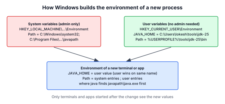 Windows merges system and user environment variables into each new process, and Path is system entries followed by user entries