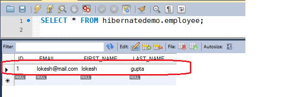 Hibernate insert query example